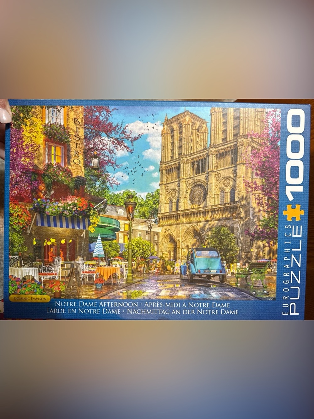 Notre Dame Afternoon 1000 piece puzzle